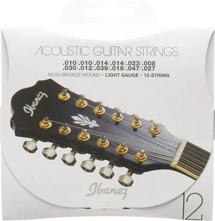 Ibanez IACS12C Streng 12-str. western (010-047) 