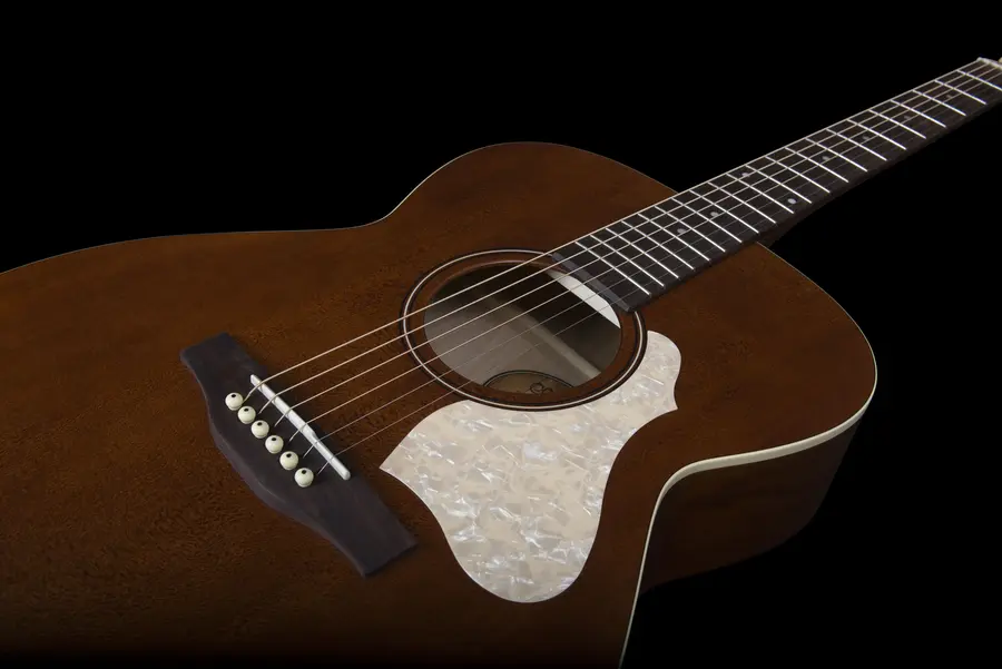 Art & Lutherie Legacy Havana Brown Q-Discrete preamp 
