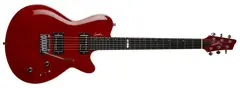 Godin DS-1 Daryl Stuermer Signature w/bag