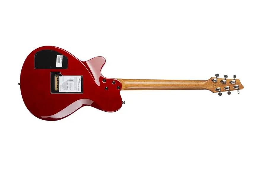 Godin DS-1 Daryl Stuermer Signature w/bag 