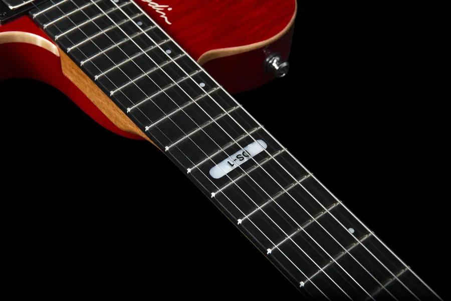 Godin DS-1 Daryl Stuermer Signature w/bag 