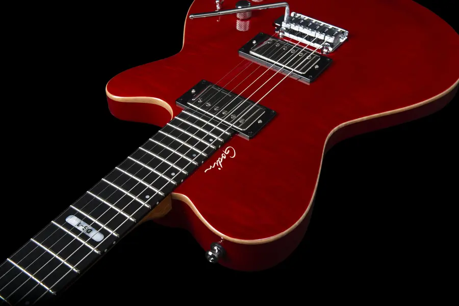 Godin DS-1 Daryl Stuermer Signature w/bag 