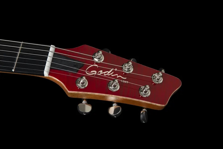 Godin DS-1 Daryl Stuermer Signature w/bag 