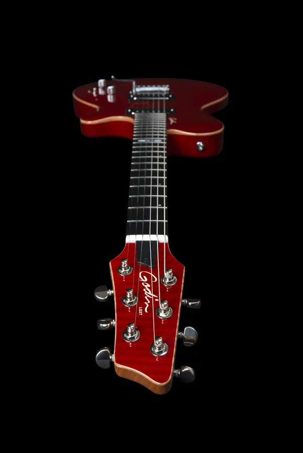 Godin DS-1 Daryl Stuermer Signature w/bag 