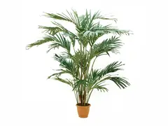 Europalms Canary date palm artificial plant, 240cm