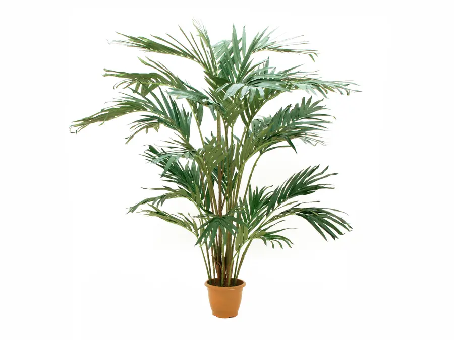 Europalms Canary date palm artificial plant, 240cm 