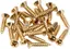 Fender Pickguard/Control Plate Mounting Screws (24) (Gold)