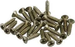 Fender Road Worn Pickguard/Control Plate Screws (24)