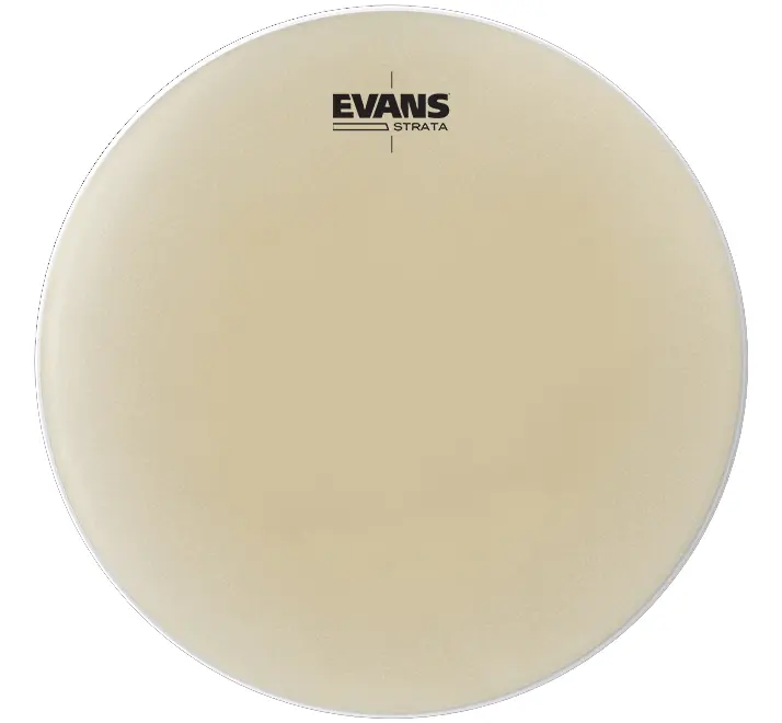 Evans EST20 Timpani Head 20 