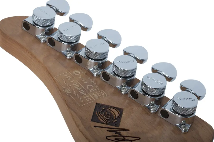 Schecter Nick Johnston Traditional H/S/S Atomic Frost 