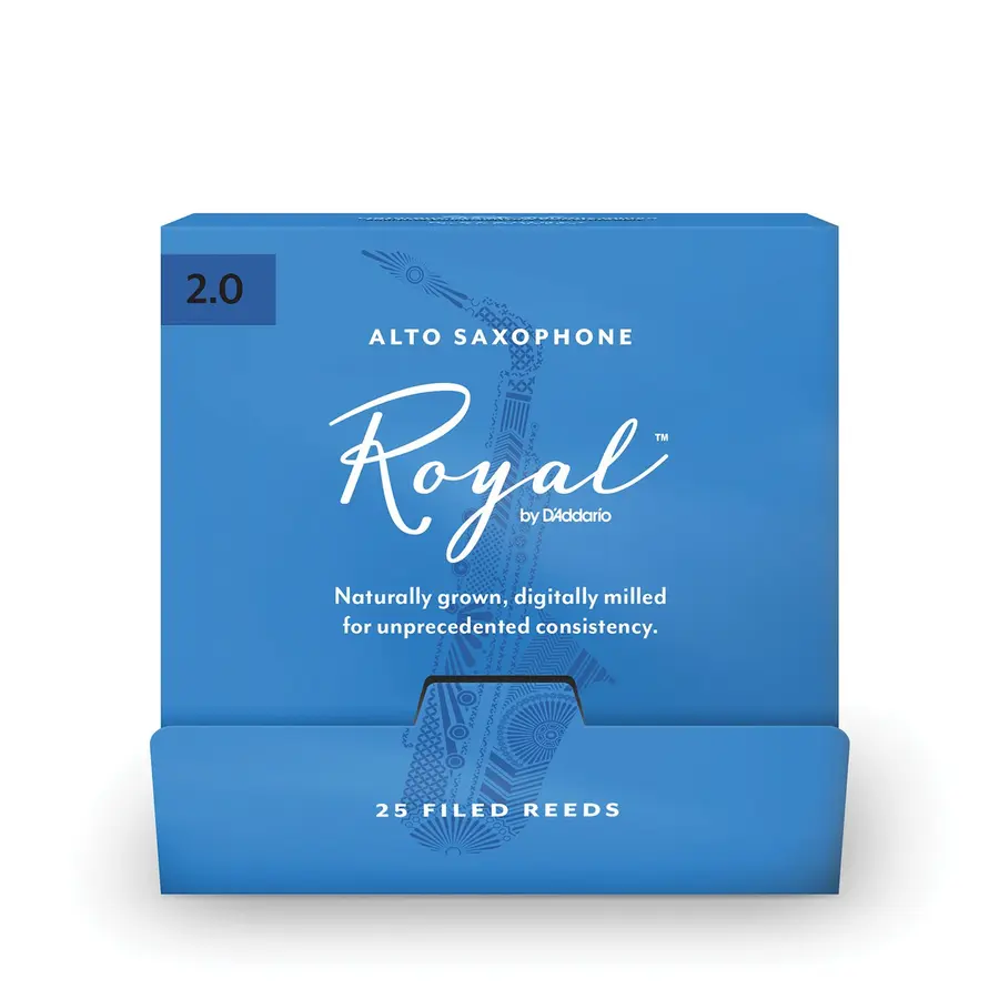 D'addario RJB0120-B25 Flis Alt-sax Royal 25-p. 2.0 Sealed 