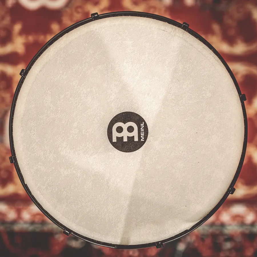 Meinl ADJ10-SI Djembe Synthetic 10" Simbra, Alpine Series 
