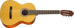 Walden N350W
