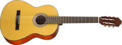 Walden N450W