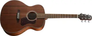 Walden G551EW
