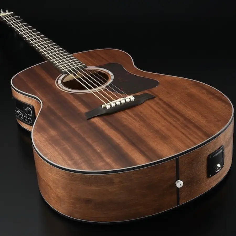 Walden G551EW 