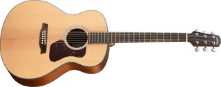 Walden G551EW