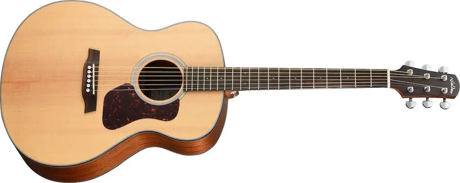Walden G551EW 