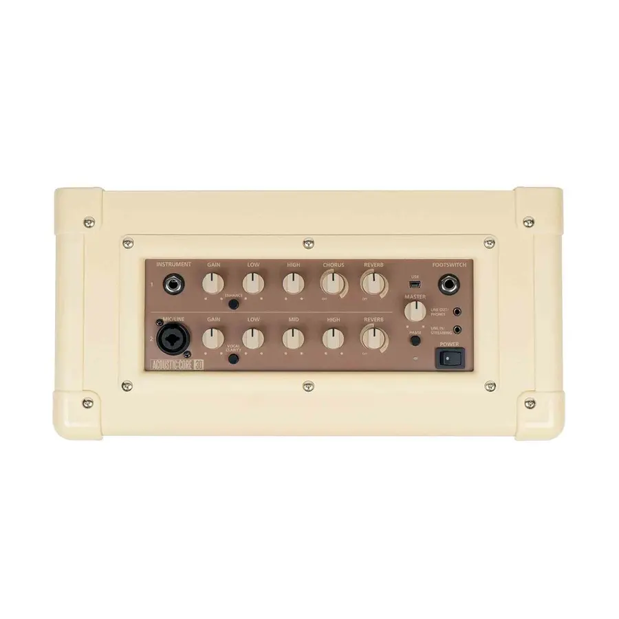 Blackstar Acoustic Core 30 