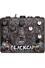 Old Blood Noise Blackcap
