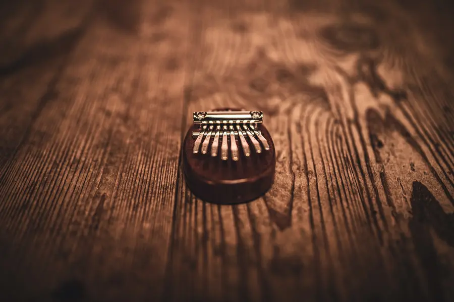 Meinl Sonic Energy KL8MINI Kalimba Mini C Major 8-Notes, Sapele 