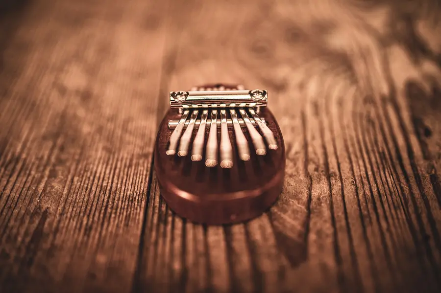 Meinl Sonic Energy KL8MINI Kalimba Mini C Major 8-Notes, Sapele 