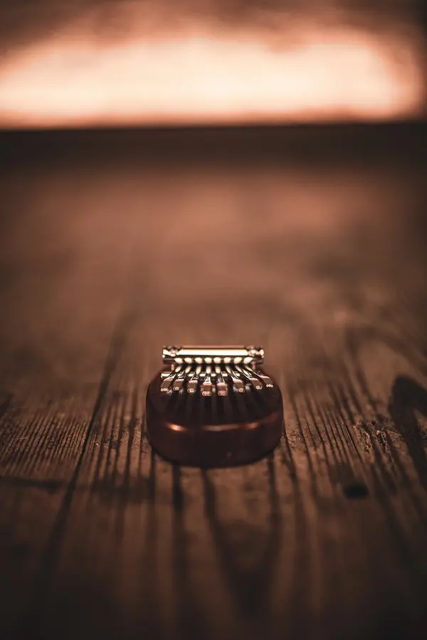 Meinl Sonic Energy KL8MINI Kalimba Mini C Major 8-Notes, Sapele 