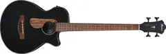 Ibanez AEGB24E-BKH