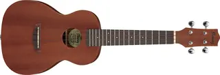 Ibanez UKC100-OPN