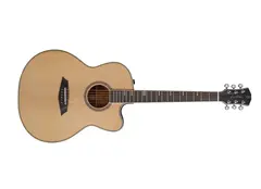 Sire A4 Larry Carlton Grand Auditorium NT
