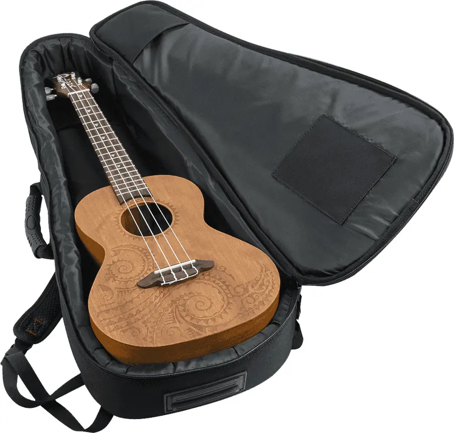 Gator GB-4G-UKE TEN 4G nylon for tenor ukulele 