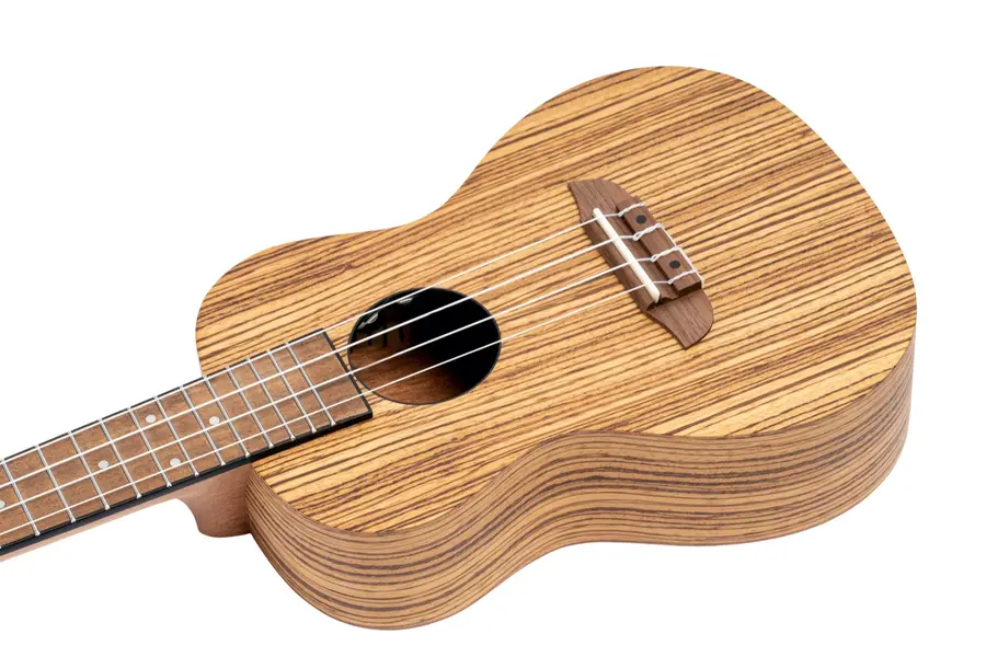 Ortega RFU11ZE-L Concert ukulele, med mik, Gigbag, Lefthand 
