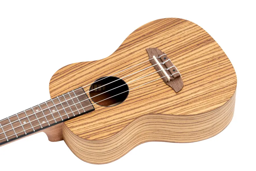 Ortega RFU11Z-L Concert ukulele Med Gigbag, Lefthand 
