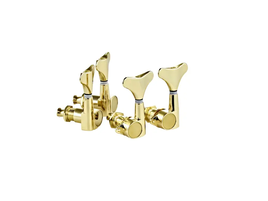 Ortega OTMEB22-GO Mekanikk Bass 2+2, Gold 