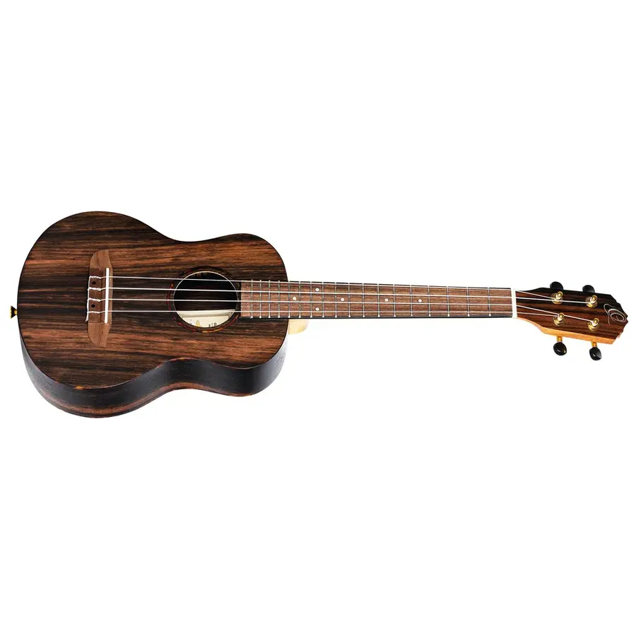 Ortega RUEB-TE Tenor ukulele med Gigbag 