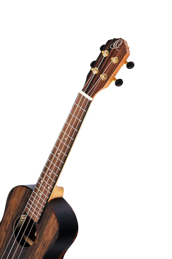 Ortega RUEB-TE Tenor ukulele med Gigbag 