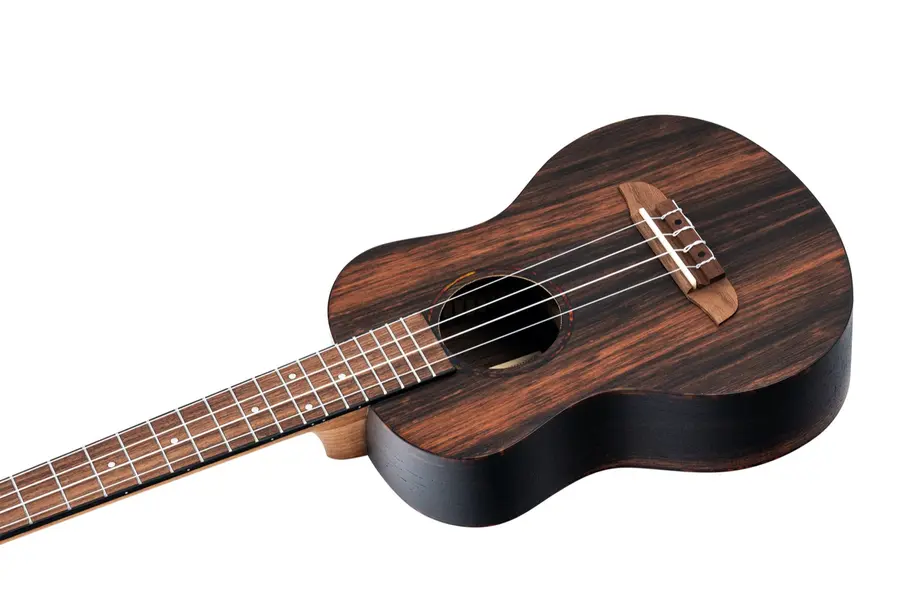 Ortega RUEB-TE Tenor ukulele med Gigbag 