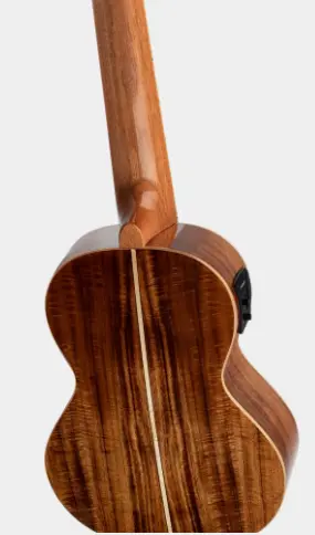 Ortega RGLE18ACA Guitarlele Mikrofon & gigbag, all Acacia, solid top 