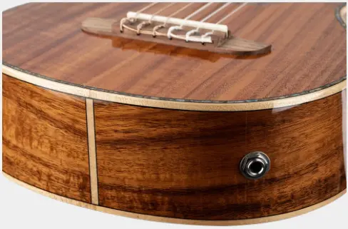 Ortega RGLE18ACA Guitarlele Mikrofon & gigbag, all Acacia, solid top 
