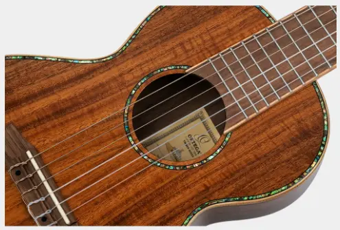 Ortega RGLE18ACA Guitarlele Mikrofon & gigbag, all Acacia, solid top 