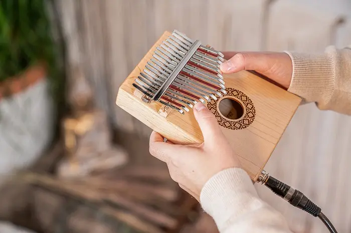 Meinl Sonic Energy PKL1709H Kalimba med pickup, C Major 17-Notes, Maple 