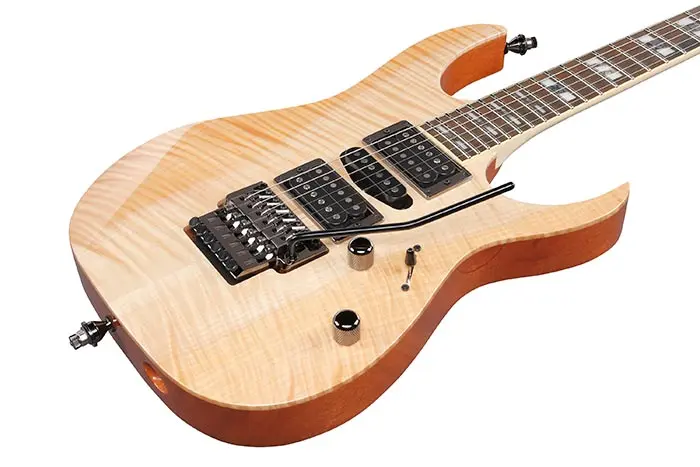 Ibanez RG8570CST-NT Ink hardcase 