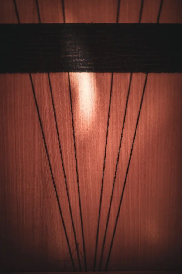 Meinl AETLBE Artisan Cajon, Tango Line Brown Eucalyptus 