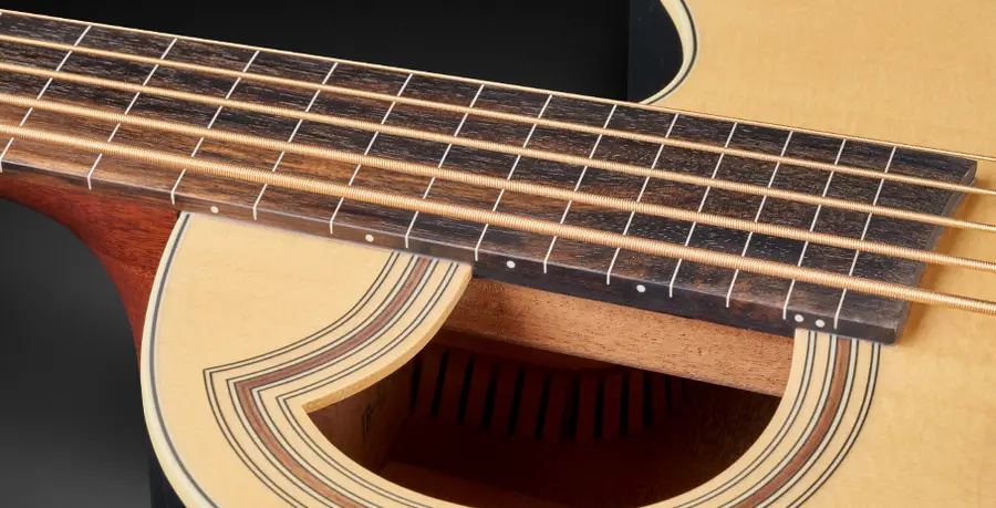 Warwick RockBass Alien Standard 5String, Fretl./Lines, Nat. Transp.Satin 