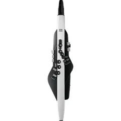 Roland AE-20 Aerophone