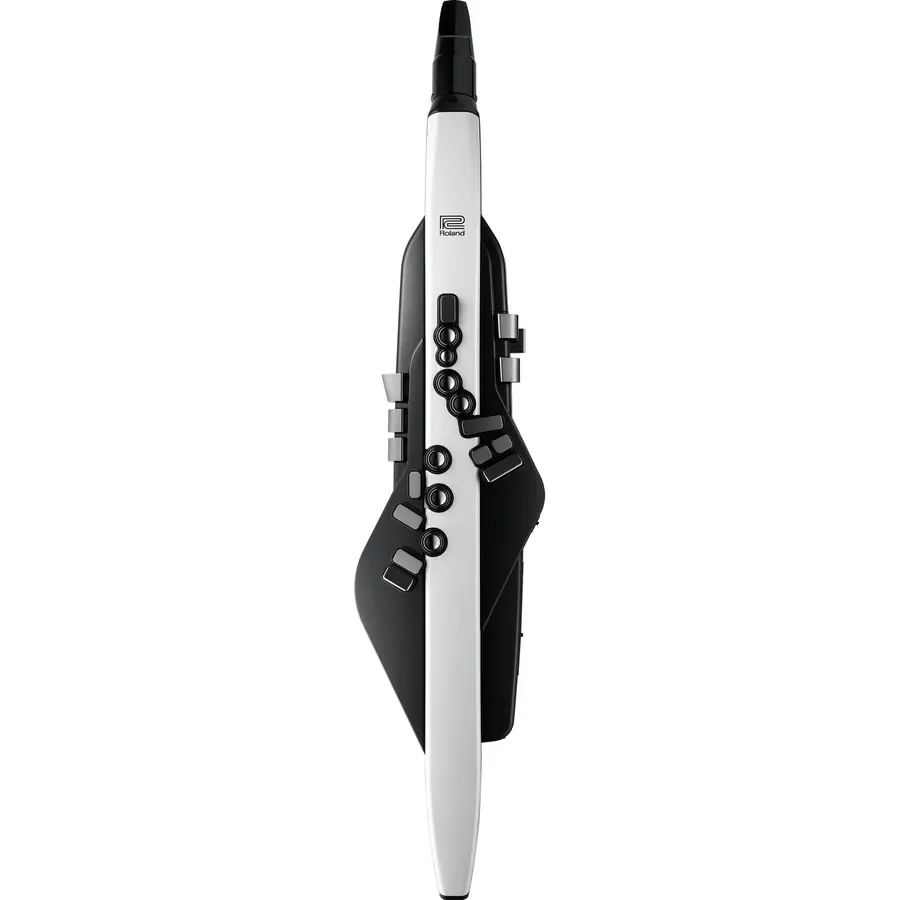 Roland AE-20 Aerophone 