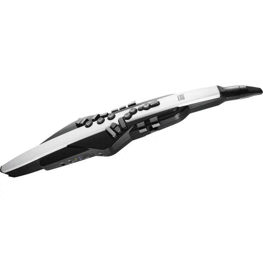 Roland AE-20 Aerophone 