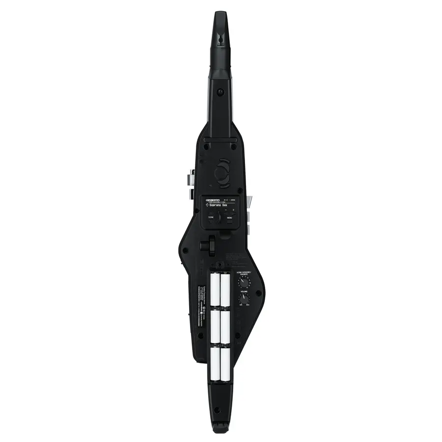 Roland AE-20 Aerophone 