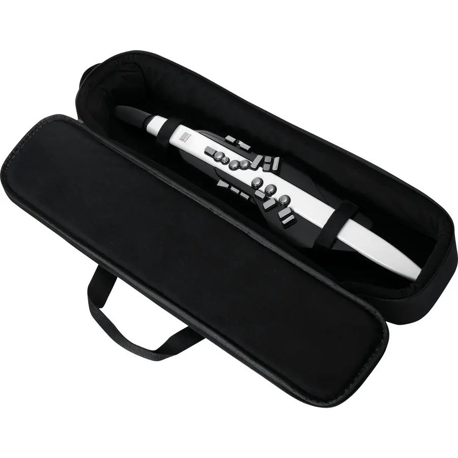 Roland AE-20 Aerophone 