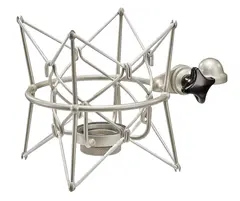 Neumann EA 2